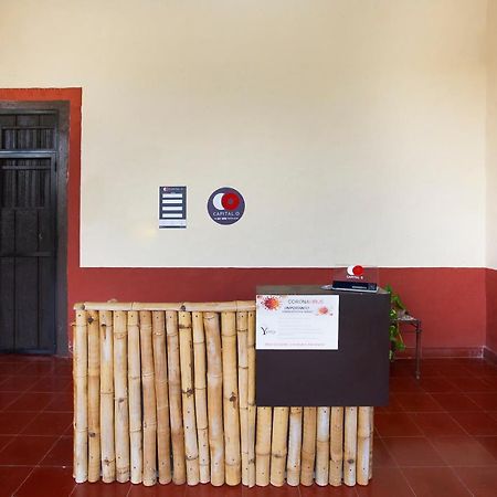 Capital O Hacienda Yunku Hotel, Yucatan 메리다 외부 사진